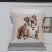 Kissenhülle Engl.Bulldogge
