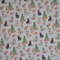 Weihnachts - Labrador